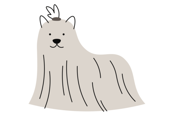 Maltese Dog Doodle. Pretty Little Pet Dr