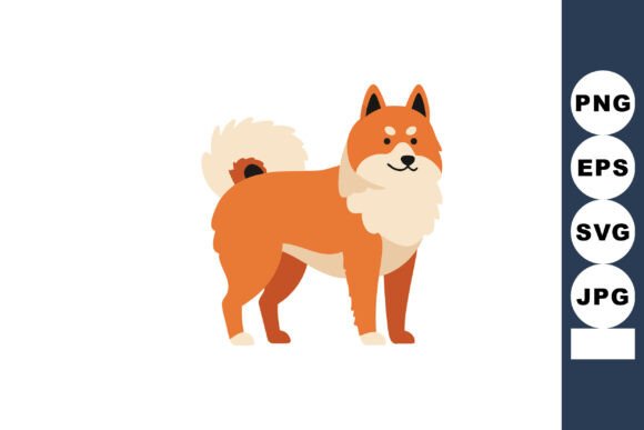 Shiba Inu Dog Standing with Fluffy Tail