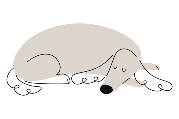 Sleeping Irish Setter. Cute Dog Doodle D